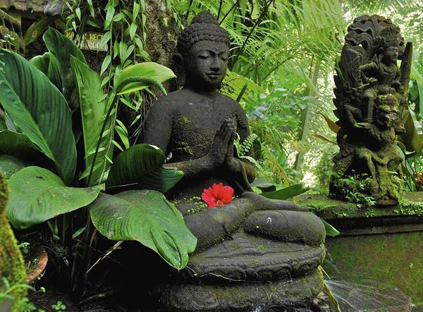 Ô nhiễm hay rối loạn ở nơi này là ô nhiễm hay rối loạn ở những nơi khác trên thế giới. Sự thật này yêu cầu các cá nhân, tổ chức và mọi quốc gia có bổn phận và trách nhiệm bảo vệ môi sinh cùng lúc vì sự sống còn của nhân loại.