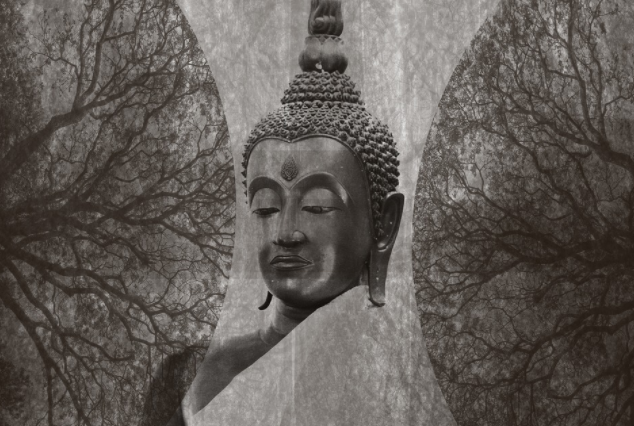 Phật giáo Đại thừa, Phật giáo Nguyên thủy hay nhiều trường phái Phật giáo khác đều là Phật giáo.