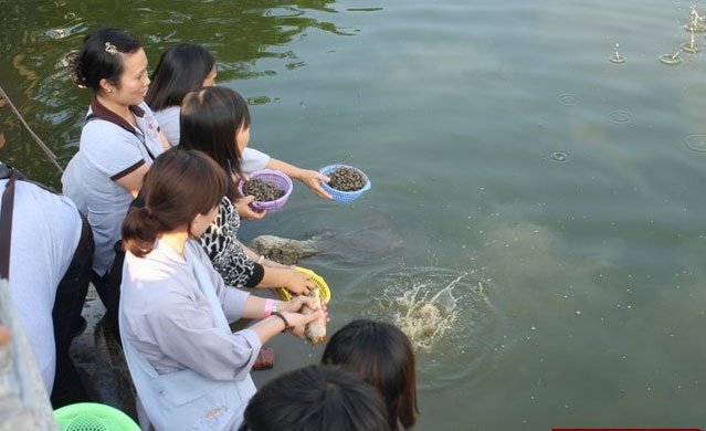 Phóng sinh bằng cái tâm chứ đừng theo phong trào, làm việc bằng chánh kiến chứ không chạy theo số đông.