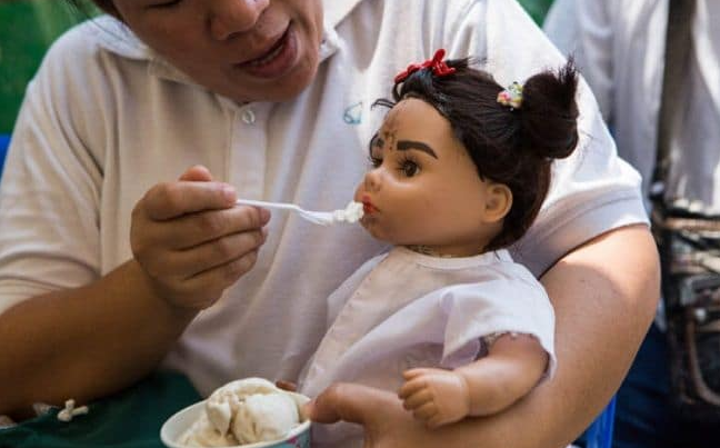 Nuôi Kumanthong đòi hỏi người nuôi phải chăm sóc nó giống như một đứa trẻ con