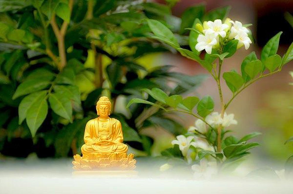 Cho người khác được tiện lợi cũng chính là tiện lợi cho mình, là một chân lý không thay đổi.