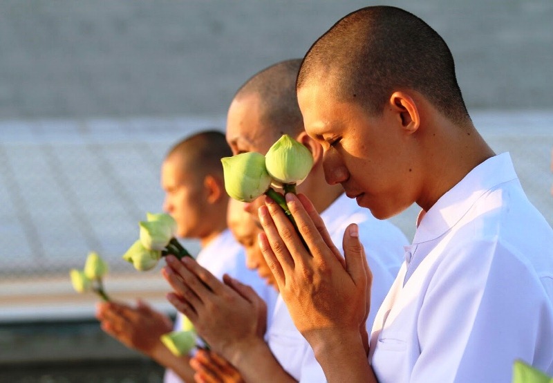 Đức Phật dạy chúng ta chuyển nghiệp là tu, vì con người khổ hay vui đều do nghiệp quyết định, không phải thần linh quyết định.