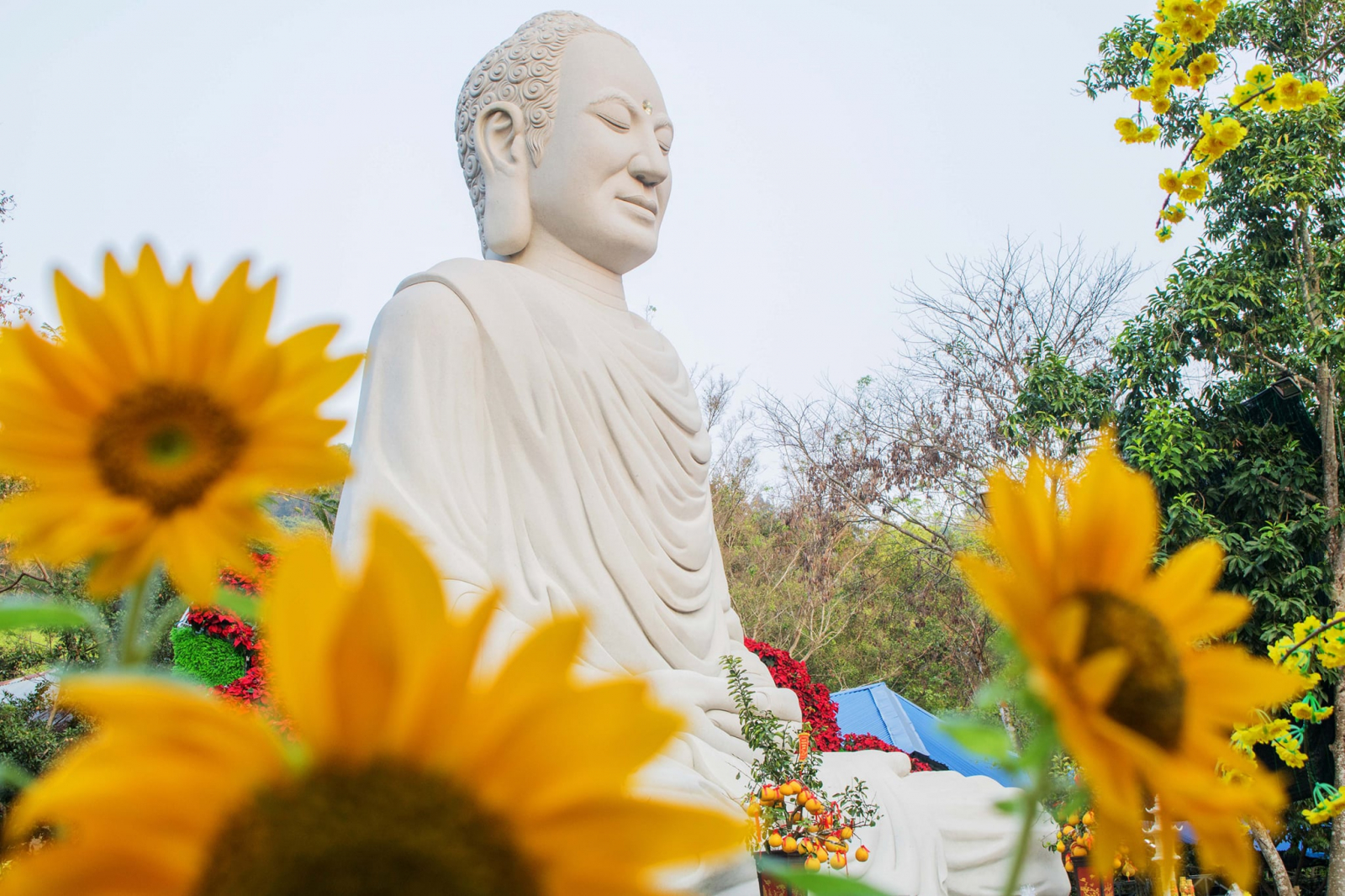 Đức Phật chỉ sử dụng những đức tính tốt đẹp của con người để hóa độ con người.
