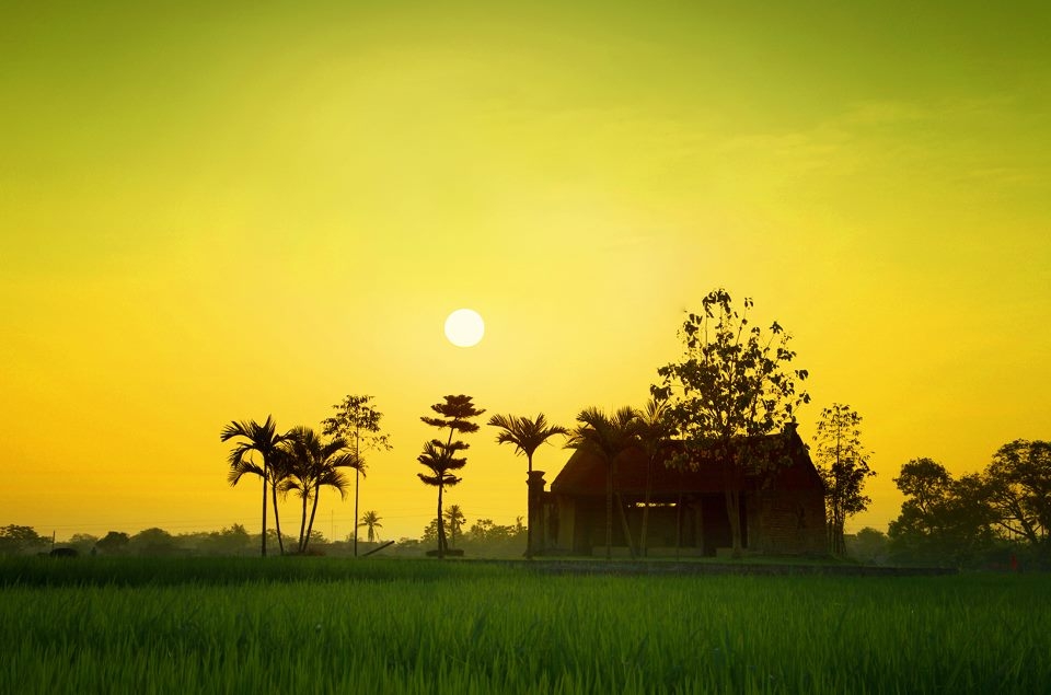 Quê hương: Hãy chiêm ngưỡng hình ảnh tuyệt đẹp về quê hương của chúng ta, nơi con người ta luôn giữ gìn và yêu thương. Quê hương là biểu tượng của sự gắn bó, tình cảm và gốc rễ của mỗi cá nhân với đất nước Việt Nam.