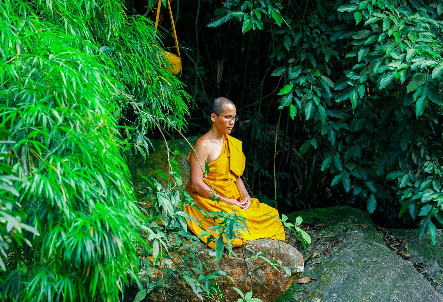 Hạnh phúc trong Phật giáo là sự từ bỏ tâm tham ái chấp trước không bám víu vào các pháp...