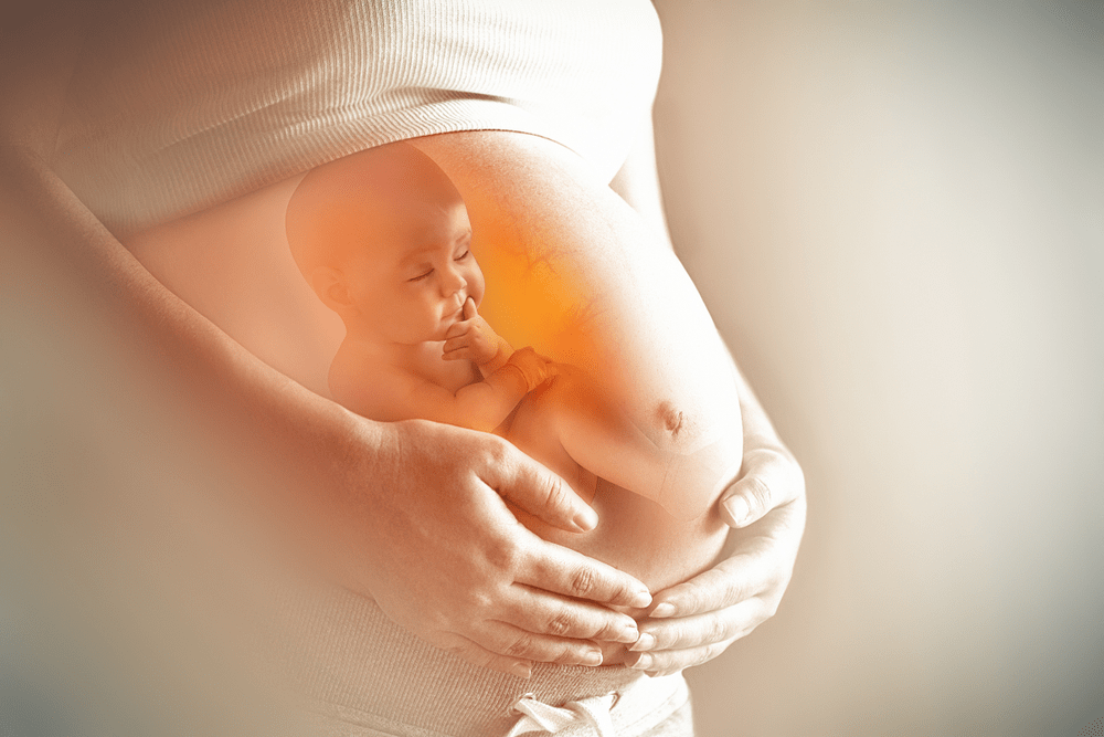 Hình ảnh quá trình mang thai 9 tháng 10 ngày theo từng tuần 40 tuần