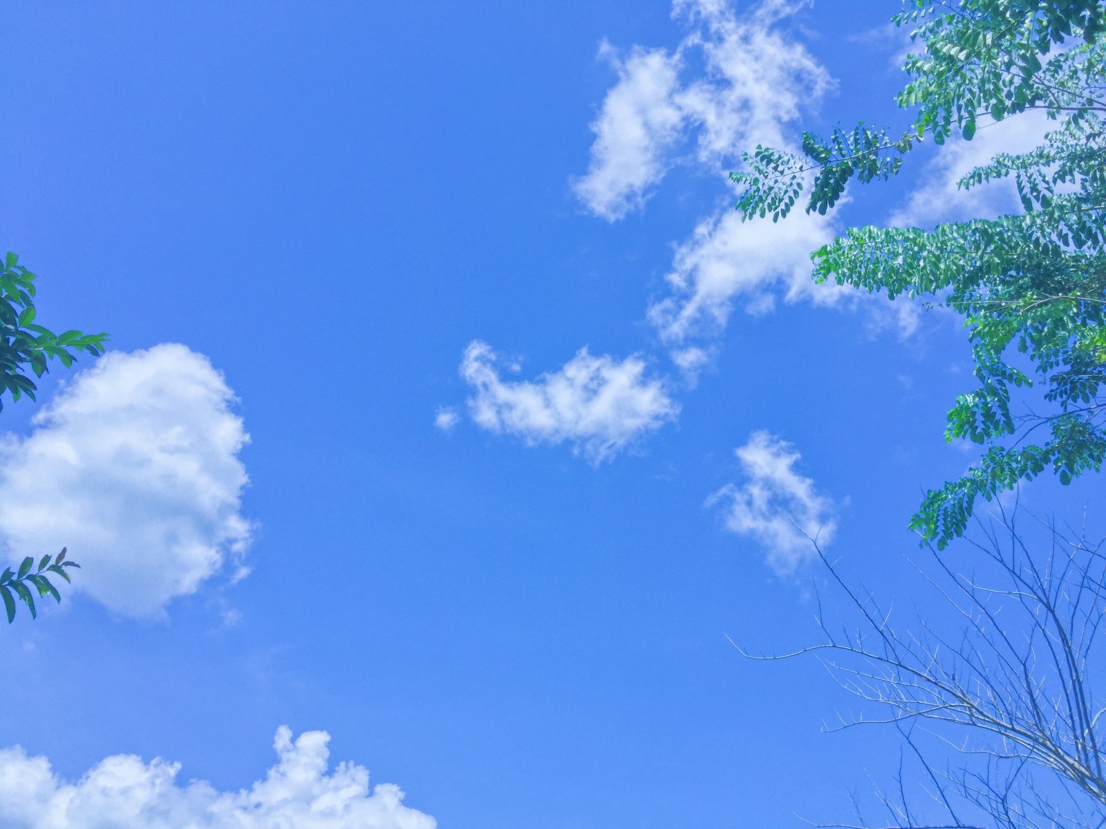 Áng mây: Khi ánh nắng tràn về, những đám mây trắng xóa thổi nhẹ trên bầu trời làm cho cảnh sắc trở nên thật tuyệt đẹp. Hãy chiêm ngưỡng bức ảnh về những áng mây bay trôi giữa bầu trời, cảm nhận tình cảm yên bình chốn thiên nhiên.