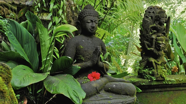 Nhân quả vẫn đi trước. Cho nên cái quan trọng nhất vẫn là tu và làm phước.