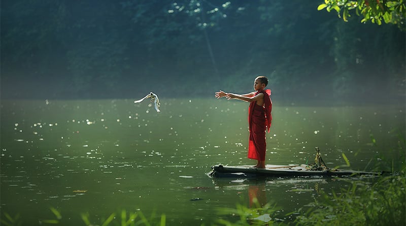 Trong kinh Xuất Diệu Đức Phật dạy: “Mình tạo tội thì tự mình chịu ai ương, không ai có thể thay thế mình được”.
