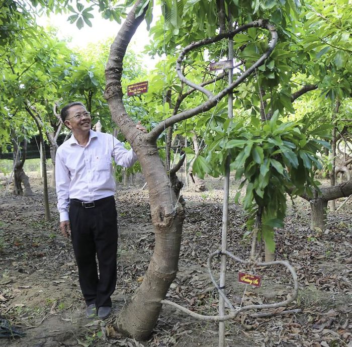 Dáng cây “Nhân quả” được tạo dáng thành hình một trái tim lớn trồng xuống đất, trên cành mang nhiều trái tim con nhằm thể hiện tính nhân quả gieo yêu thương gặt thương yêu. (Ảnh: Nguyễn Thành/TTXVN)