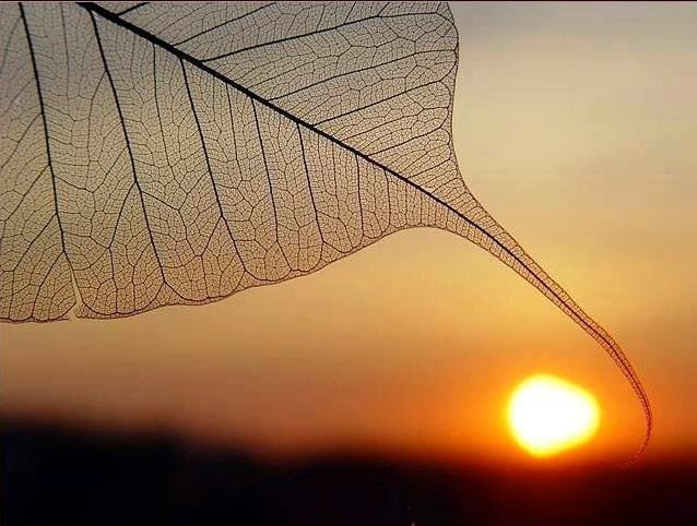 Phát tâm Bồ đề tâm có hai nhiệm vụ lớn: Một là trên cầu Phật đạo để tự lợi, hai là dưới là hóa độ chúng sinh.