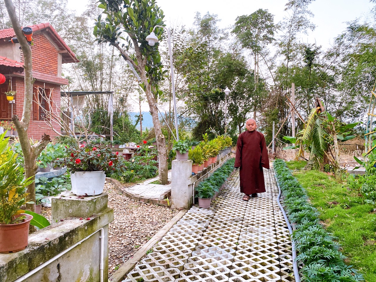 “Sắc xuân tô điểm cuộc đời, Từ bi tô điểm cho người thanh cao”