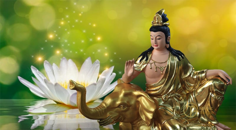 Tìm hiểu về tiền thân của đạo Phật qua hình ảnh tinh tế, giúp bạn hiểu về nguồn gốc và triết lý đạo Phật.