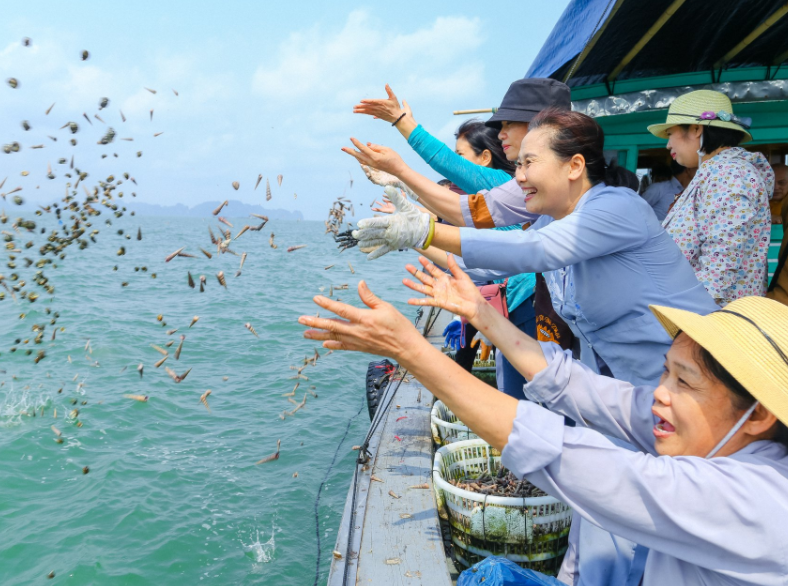 Chim Cá Cảnh Phóng sinh Đồ Câu Thường Tín