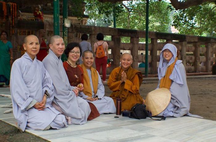 Các ni sư và Phật tử dưới gốc bồ đề tại Bồ Đề Đạo Tràng