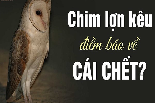Hình tượng loài chim trong văn hóa – Wikipedia tiếng Việt