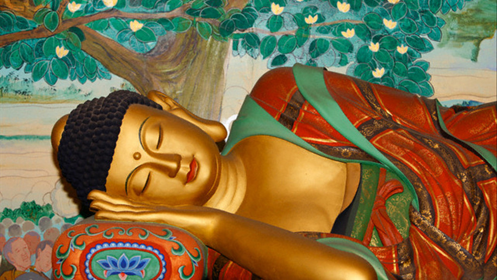 Lòng thương của Phật thật là vô lượng, ân đức của Phật thật vô biên.