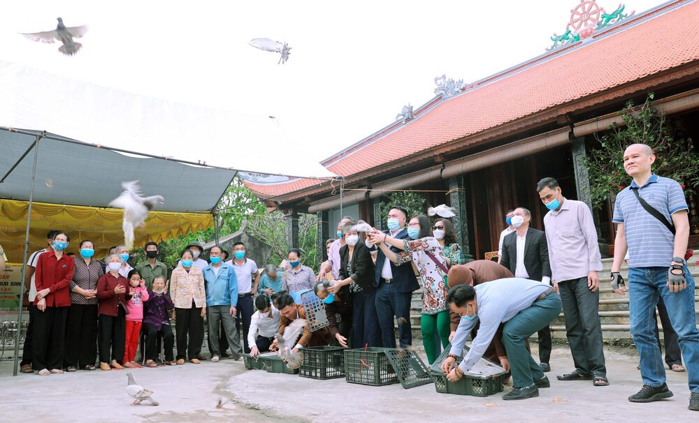 c8.phatgiao.org.vn