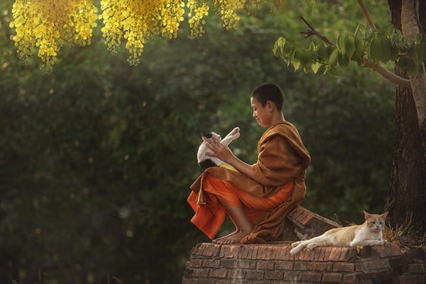 Cần lắm một tình thương yêu chân thành và rộng mở thông qua cử chỉ nhẹ nhàng, ánh mắt nhẹ nhàng và tất cả những gì từ con tim nhẹ nhàng.