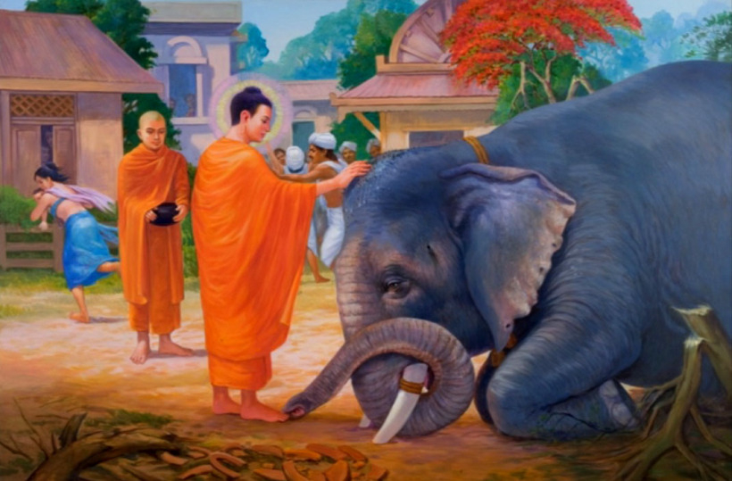 Biết kích hoạt nguồn yêu thương và phát triển tiềm năng thành khả năng thật sự đòi hỏi sự nỗ lực, kiên trì, bền chí, mới có thể hành động từ con tim có sức dung chứa lớn mà không phân biệt gì cả.