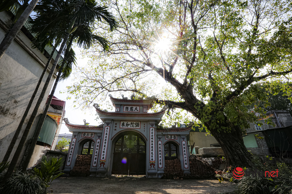 Cổng chùa đã được xây mới khang trang, nhưng bên trong thì hầu hết các hạng mục đã xuống cấp nghiêm trọng.