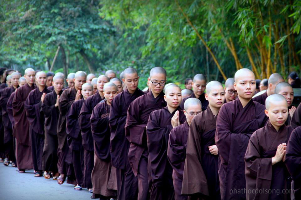 Hình ảnh Ni chúng trong màu áo nâu sầm giản dị và thanh thoát. Ảnh: tư liệu Phật học đời sống