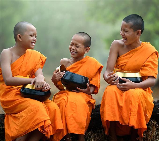 noi nhieu co nam nguy hai