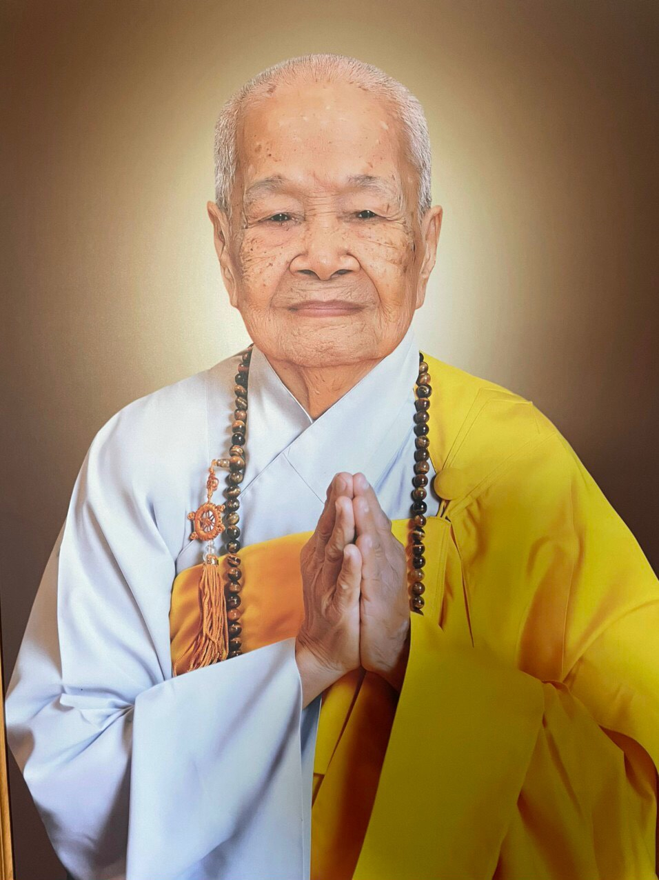Chân dung Ni trưởng Thích nữ Như Ngọc