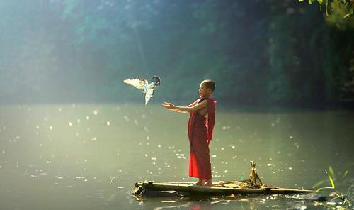 Cách duy nhất để ”buông xả” là không tiếp tục nắm giữ, thản nhiên để những cảm xúc tiêu cực “đến và đi” trong tỉnh giác.