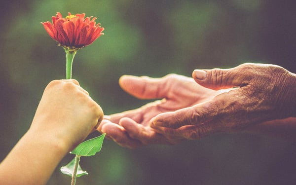 Trước khi làm một người thành công, trí tuệ, xin những người mẹ nhớ dạy con mình bài học hãy làm một người tử tế. Và chúng ta, những người lớn cũng xin chớ quên.