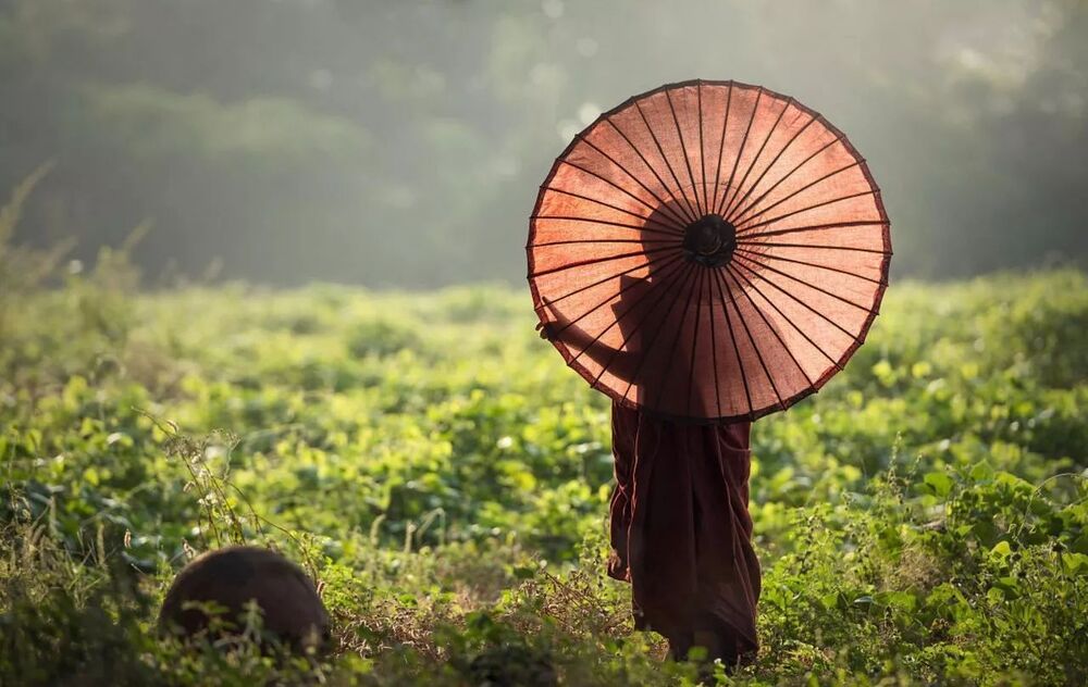 Việc của chính mình là hãy thực hành chánh niệm, hãy quan sát thân và tâm mình ngay lúc bây giờ, để thấy rằng thân và tâm này đang thay đổi, khổ đau này đang giảm đi.