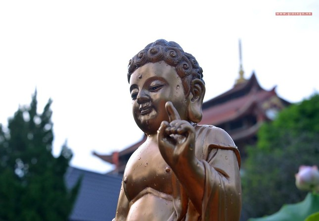 le-tam-phat-tai-chua-hue-nghiem-20-2943