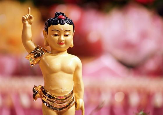 Thế Tôn ra đời vì một đại sự nhân duyên.