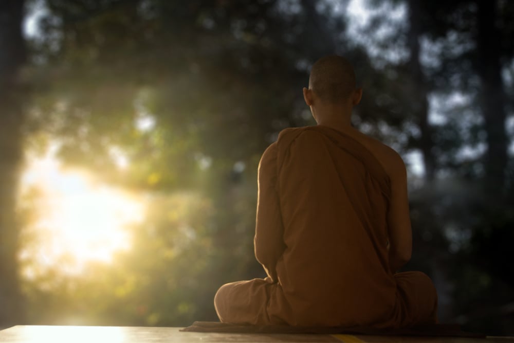 Ngay cả trước khi chúng ta đạt giác ngộ, chúng ta vẫn thấy hạnh phúc để tu tập theo cách của chúng ta. Bằng không, chúng ta chẳng đạt được cái gì trong nghĩa đích thực của nó.