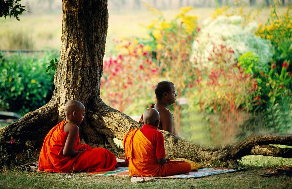 Chỉ cần thường biết, thận trọng, chú tâm, quan sát thân tâm trong mọi sinh hoạt đời sống thì sẽ không buông lung phóng dật nữa.