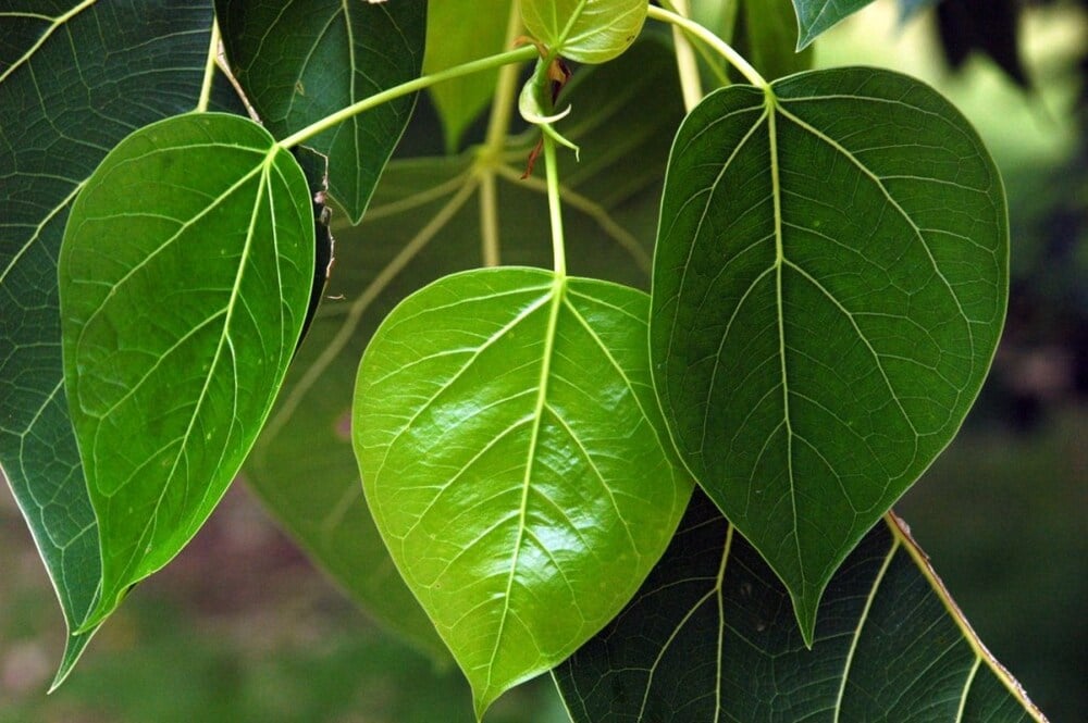 Hãy nhớ rằng điều còn lại sau tất cả mọi ồn ào, mọi đúng sai, là tình và nghĩa!