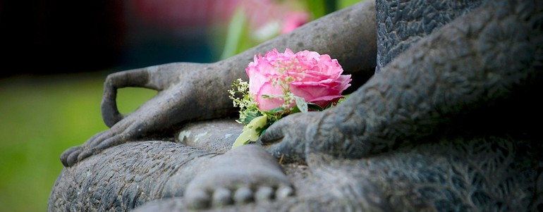 chuaadida_full_nhan-gioi-sinh-dinh-nhan-dinh-phat-tue