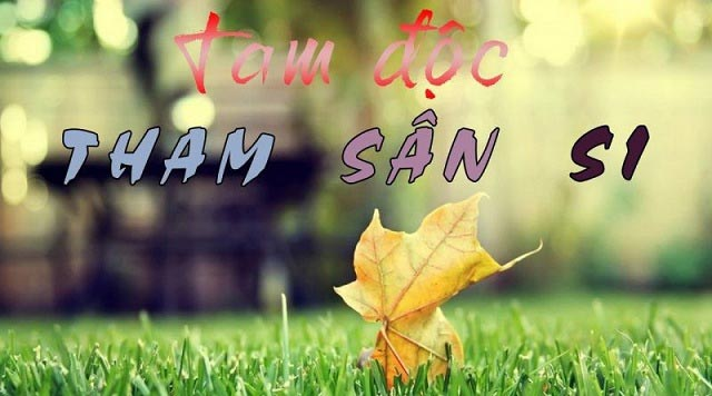 Những lời Phật dạy về sân si và lòng tham nhắc nhở chúng sanh rằng, lòng tham chính là thuốc độc giết chết nhân cách con người. Ảnh minh họa