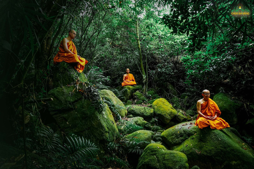 Người tu chân thật tu hành, rèn giũa chính mình là vinh danh cho Đức Thế Tôn