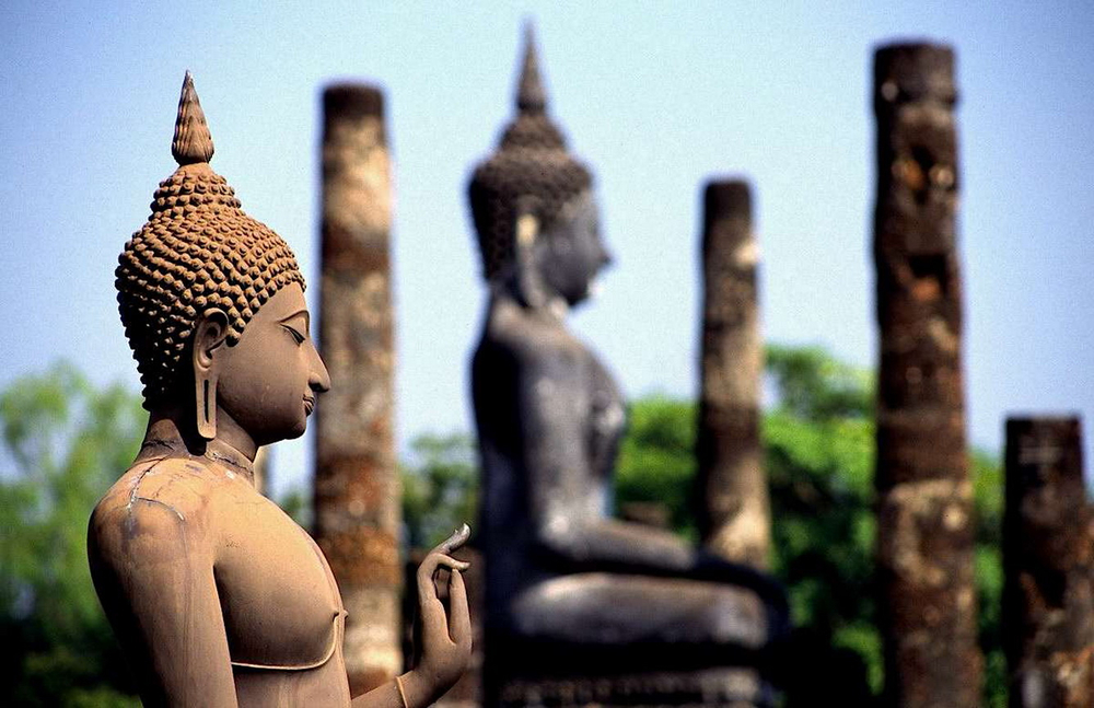 Đối với người có trí tuệ lớn, nếu siêng năng tinh tấn niệm Phật, họ sẽ có những sở đắc tâm linh
