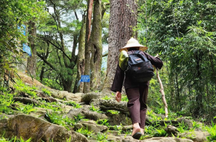Khi tu tập, ta biết tâm mình là ruộng đất, chánh pháp là những hạt giống tốt và chánh niệm là lưỡi cày để phá đất.