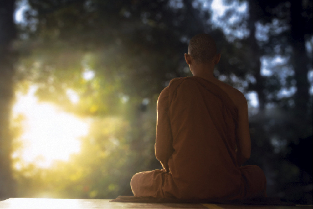 Người xuất gia đệ tử Phật hướng đến đời sống cao đẹp trong việc hoằng dương chánh pháp đem lại lợi ích an lạc cho chúng sanh.