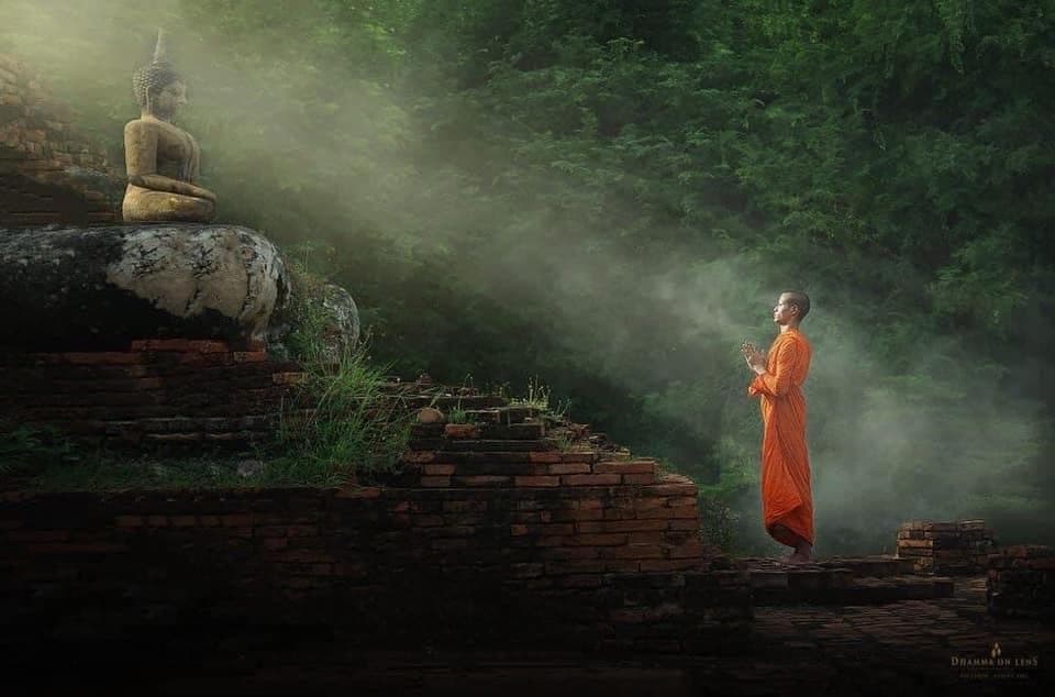 Ngũ độc của nhà Phật có 'Tham, Sân, Si, Mạn, Nghi'. Vậy làm sao con sống an nhàn hạnh phúc với những thứ đó được!