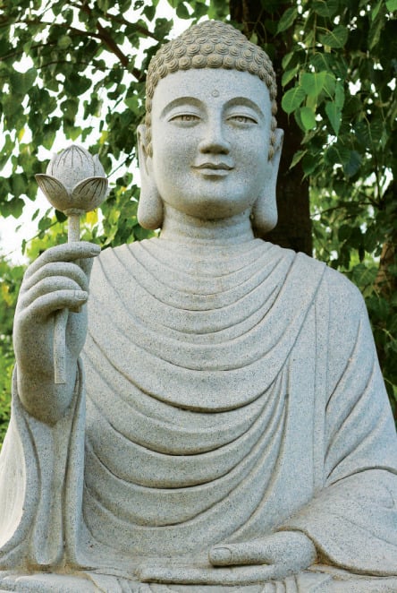 Cuộc đời của Tổ Phi Lai là hiện thân của một triết lý thực hành giải thoát Phật giáo trong thời hiện đại, trở thành tấm gương tiêu biểu cho bốn chúng về con đường tu đạo giải thoát của bậc xuất sĩ hiện đại.