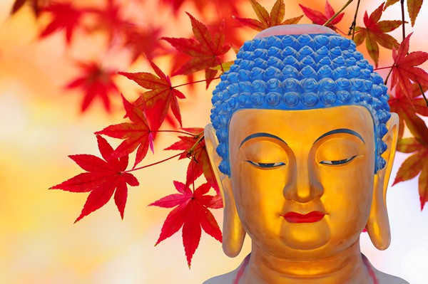 Phật chỉ dạy cho chúng ta biết sám hối, biết phóng sanh, biết làm phước… để từ từ hóa giải ác nghiệp quá khứ mà thôi.