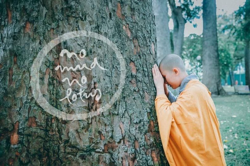 Không có bùn thì chẳng có sen, mọi thứ đều tương tức hỗ trợ cho nhau.