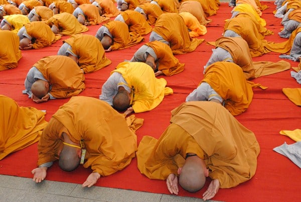 Người tụng đọc kinh mà không tu tập (không thực hành) thì chẳng có công đức gì cả dù hàng ngày chúng ta có tụng đọc bao nhiêu thời kinh thì cũng chẳng có công đức gì.