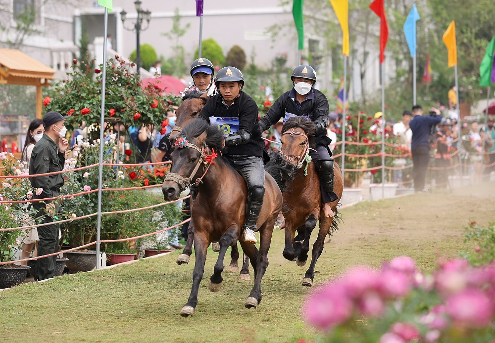 Những màn tranh tài song mã, tam mã kịch tính trong mùa giải “Vó ngựa trên mây” còn diễn ra từ nay đến hết 14/8.