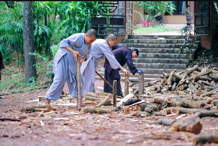 Người tập tu ngoài việc thức khuya dậy sớm lễ Phật, tụng kinh, làm việc trong chùa còn phải học nằm lòng và thực hành bốn quyền luật căn bản.