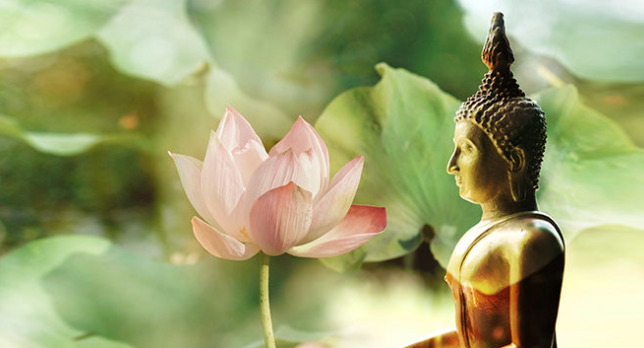 Niệm Phật là sự chú tâm tỉnh thức trong khẩu hành.